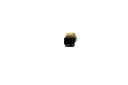 232.webp