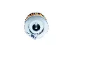 389.webp